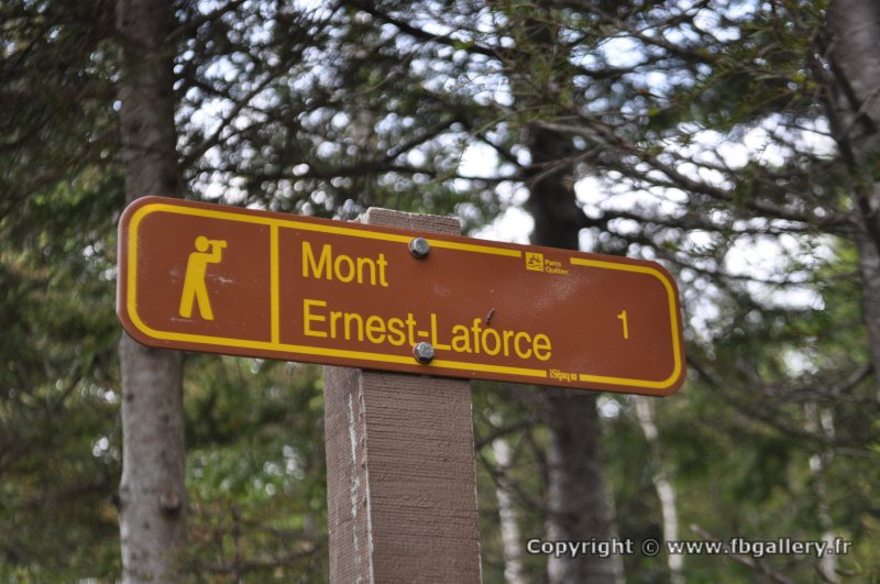 Canada2017_0470__DSC_0501