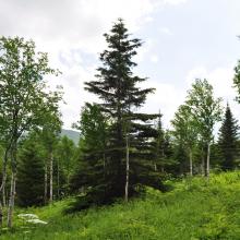 Canada2017_0471__DSC_0502