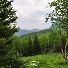 Canada2017_0472__DSC_0503