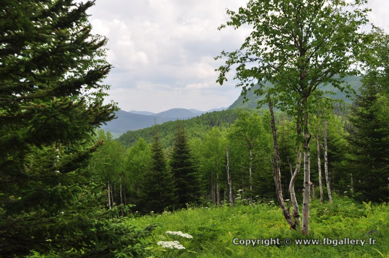 Canada2017_0472__DSC_0503
