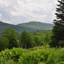 Canada2017_0473__DSC_0504