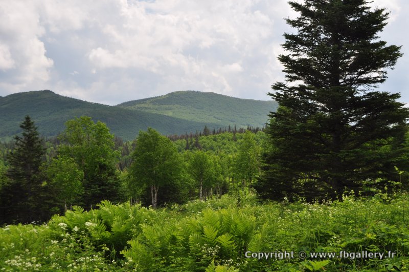 Canada2017_0473__DSC_0504