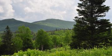09-Parc_nationnal_gaspesie