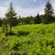 Canada2017_0475__DSC_0507