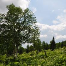 Canada2017_0476__DSC_0508