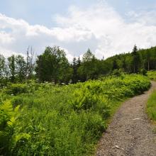 Canada2017_0477__DSC_0509