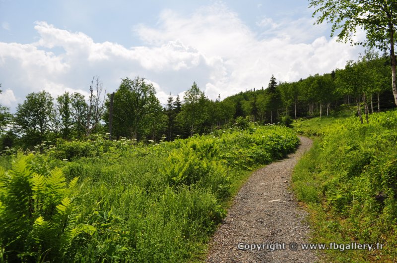 Canada2017_0477__DSC_0509