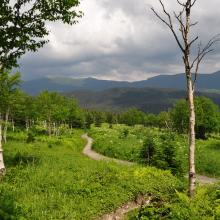 Canada2017_0478__DSC_0510