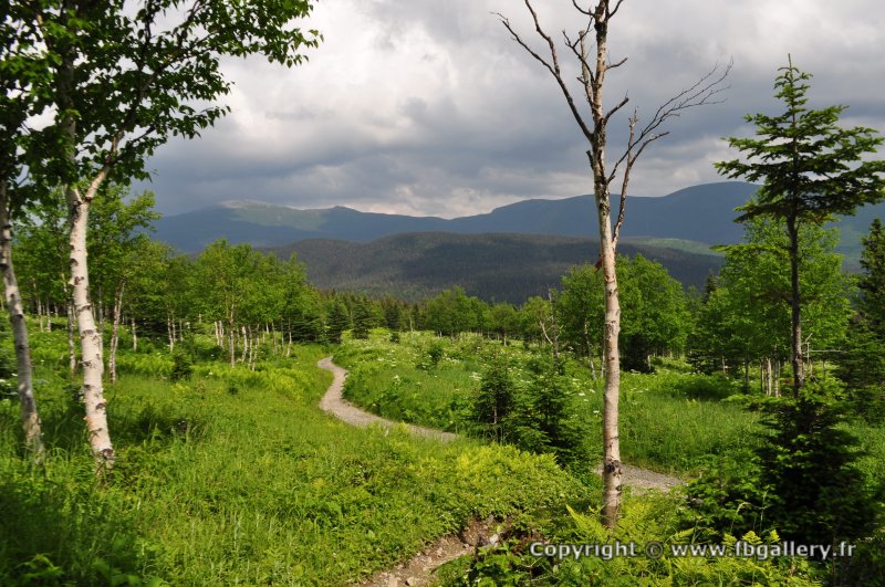Canada2017_0478__DSC_0510
