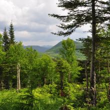 Canada2017_0479__DSC_0511