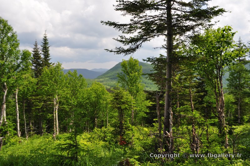 Canada2017_0479__DSC_0511