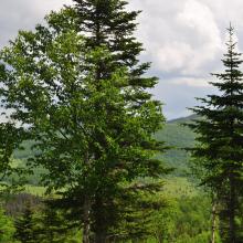 Canada2017_0480__DSC_0512