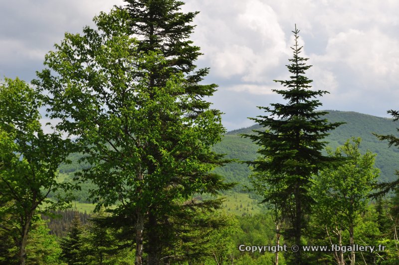Canada2017_0480__DSC_0512