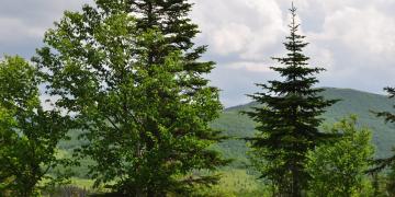 09-Parc_nationnal_gaspesie
