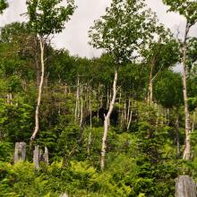Canada2017_0487__DSC_0519