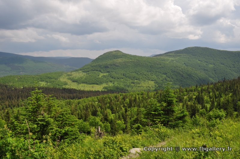Canada2017_0488__DSC_0520