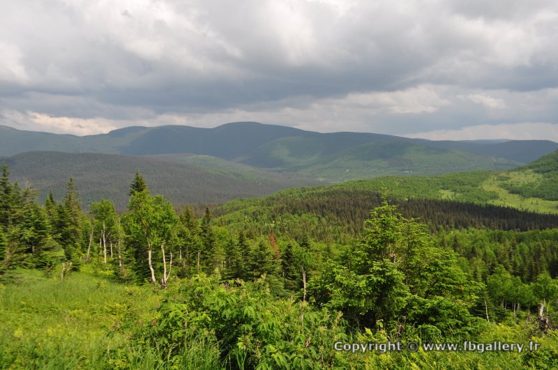 Canada2017_0490__DSC_0522