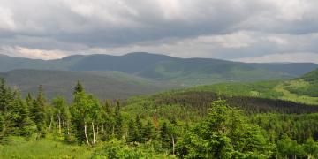 09-Parc_nationnal_gaspesie