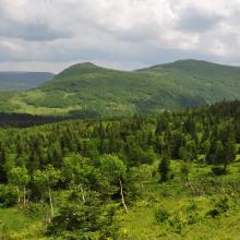 Canada2017_0491__DSC_0523