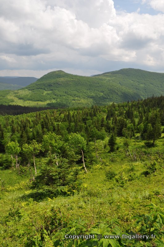 Canada2017_0491__DSC_0523