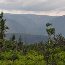 Canada2017_0494__DSC_0526