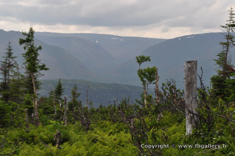Canada2017_0494__DSC_0526