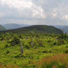 Canada2017_0496__DSC_0528