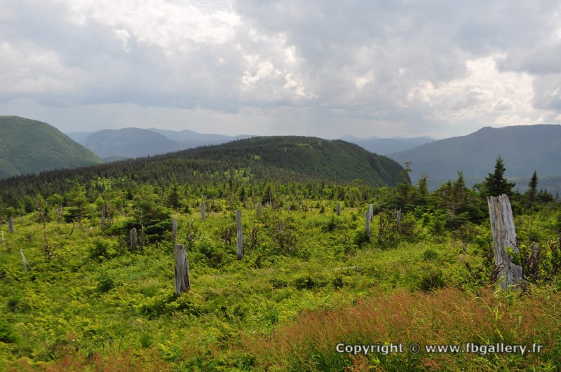 Canada2017_0496__DSC_0528