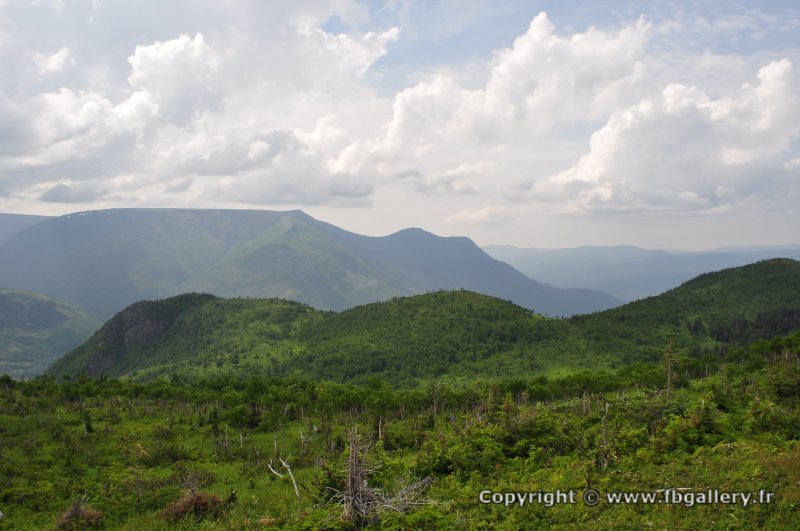 Canada2017_0499__DSC_0531