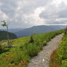 Canada2017_0502__DSC_0534