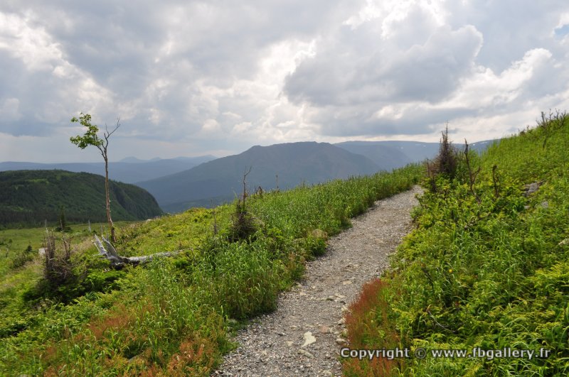 Canada2017_0502__DSC_0534