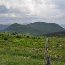 Canada2017_0504__DSC_0536