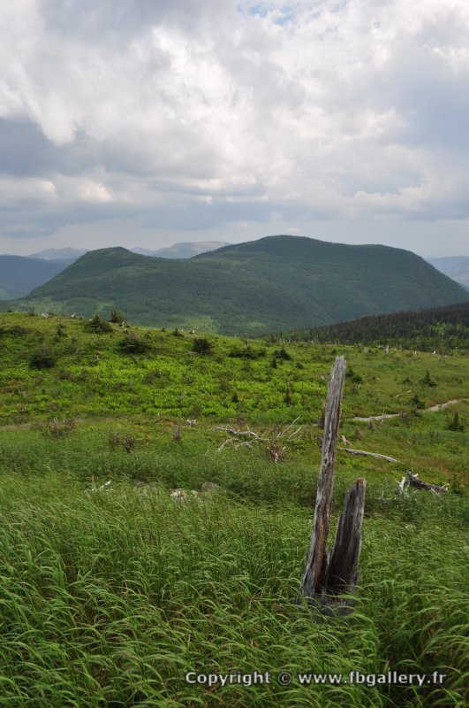 Canada2017_0504__DSC_0536