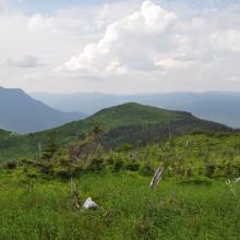 Canada2017_0505__DSC_0537
