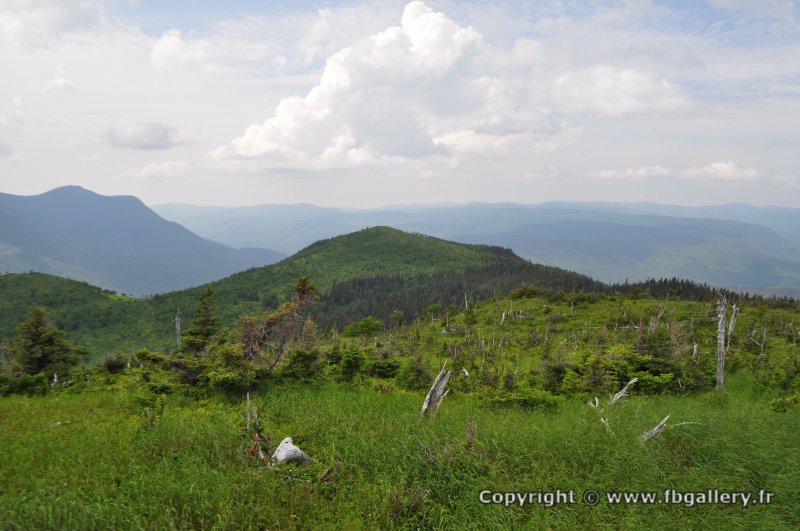 Canada2017_0505__DSC_0537