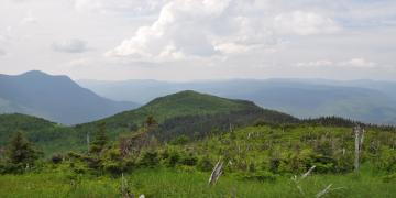 09-Parc_nationnal_gaspesie