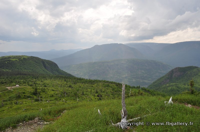 Canada2017_0509__DSC_0541