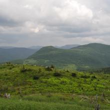 Canada2017_0511__DSC_0543
