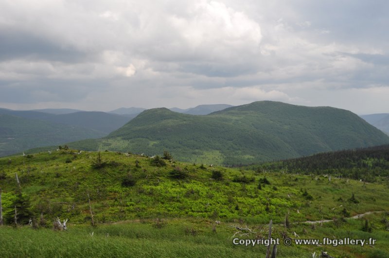 Canada2017_0511__DSC_0543
