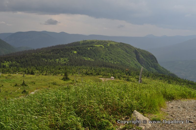 Canada2017_0512__DSC_0544