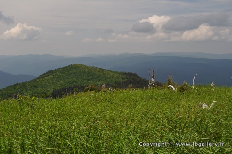 Canada2017_0513__DSC_0545
