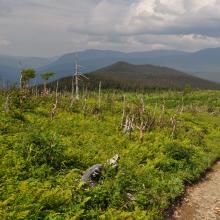 Canada2017_0514__DSC_0546