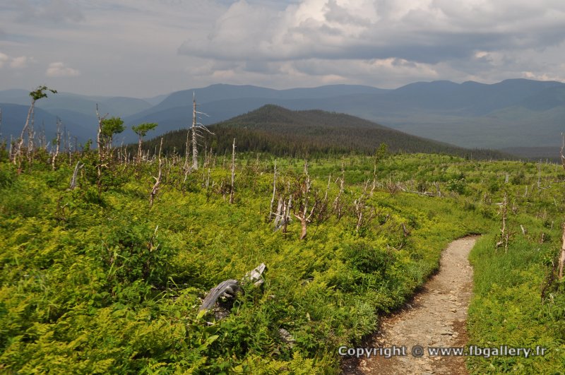 Canada2017_0514__DSC_0546