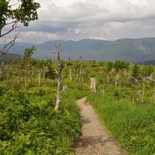Canada2017_0515__DSC_0547