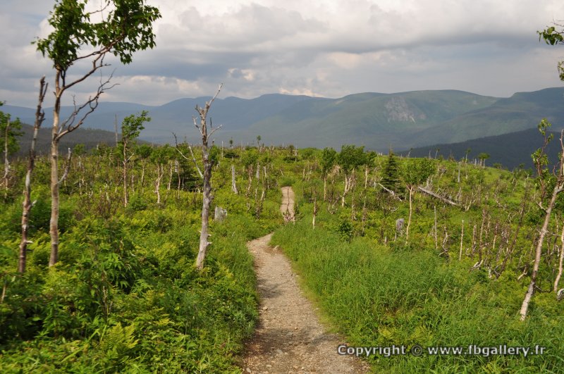 Canada2017_0515__DSC_0547