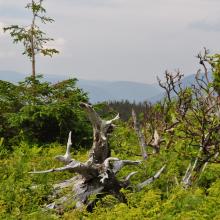 Canada2017_0516__DSC_0548