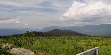 09-Parc_nationnal_gaspesie