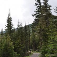 Canada2017_0524__DSC_0556