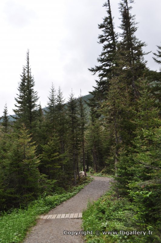 Canada2017_0524__DSC_0556