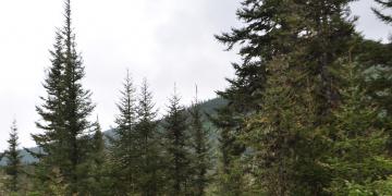 09-Parc_nationnal_gaspesie